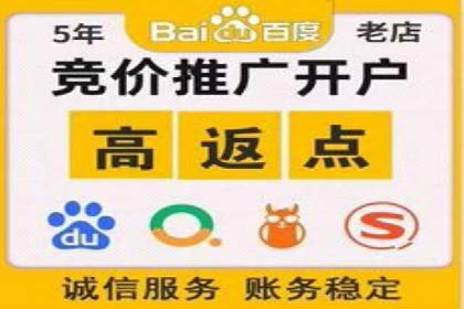 百度竞价排名推广：快速提升网站流量的技巧